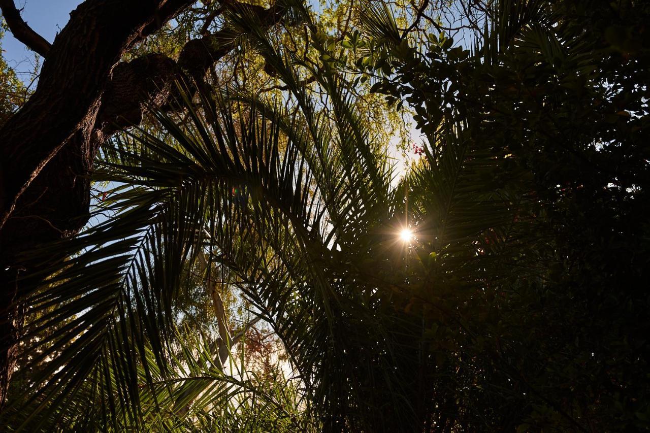 Alquiler Temp "Una Pausa" Barrio Privado En Vistalba Mendoza Extérieur photo