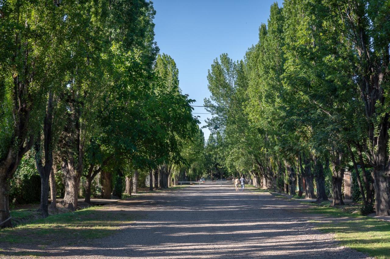 Alquiler Temp "Una Pausa" Barrio Privado En Vistalba Mendoza Extérieur photo