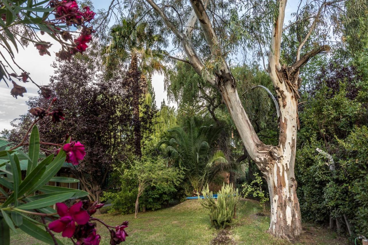 Alquiler Temp "Una Pausa" Barrio Privado En Vistalba Mendoza Extérieur photo