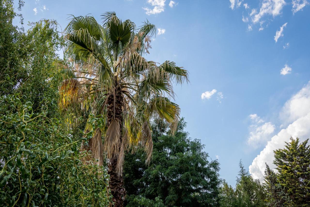 Alquiler Temp "Una Pausa" Barrio Privado En Vistalba Mendoza Extérieur photo